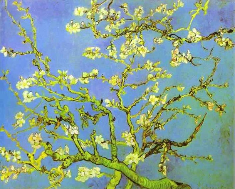 1890 branches d'amandier en fleurs.jpg